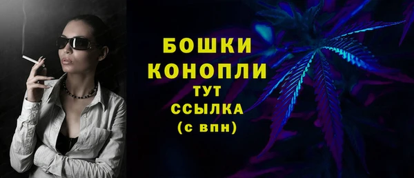 МДПВ Нефтегорск
