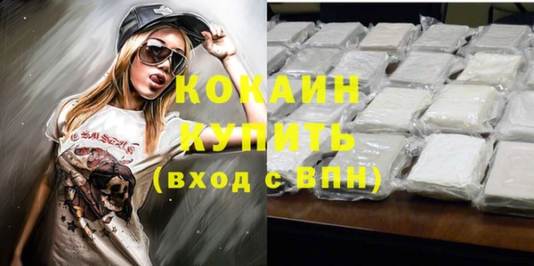 МДПВ Нефтегорск