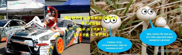 трава Новокубанск