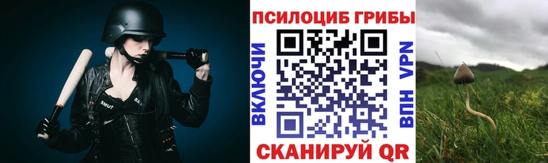 где найти наркотики  Курильск  Псилоцибиновые грибы MAGIC MUSHROOMS 